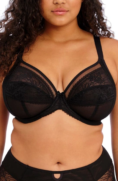 Shop Elomi Kendra Underwire Plunge Bra In Black