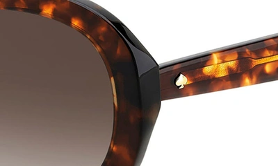 Shop Kate Spade Avah 56mm Gradient Round Sunglasses In Havana/ Brown Gradient