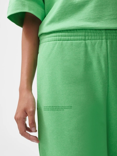 Pangaia Reclaim 3.0 Joggers In Reclaim Jade