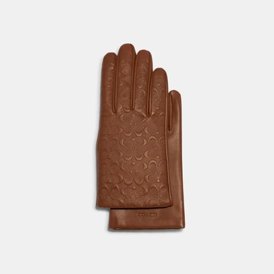 Shop Coach Outlet Signature Leather Tech Gloves In Brown