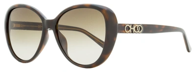 Shop Jimmy Choo Women's Oval Sunglasses Amira/g/s 086ha Havana 57mm In Brown