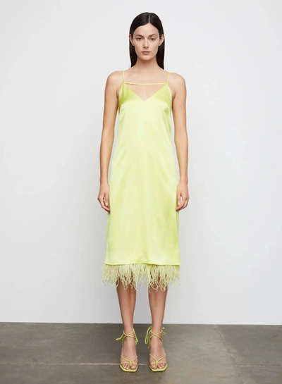 Shop Bailey44 Leilani Feather Slip Dress In Mimosa In Yellow