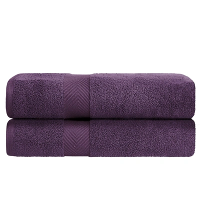 Superior Contemporary Quick-drying Zero-twist Cotton 2-piece Bath Sheet Set