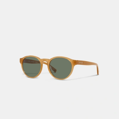 Shop Coach Outlet Wythe Round Sunglasses In Multi