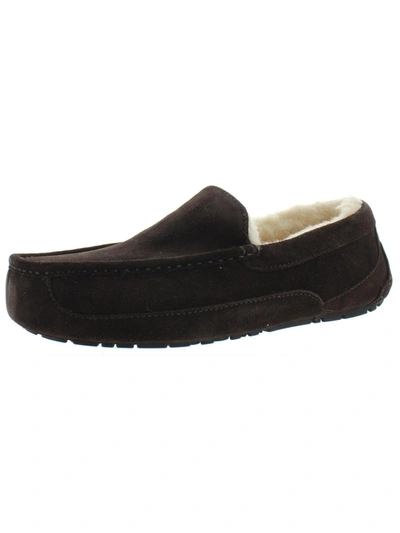 Shop Ugg Ascot Mens Suede Shearling Moccasin Slippers In Brown
