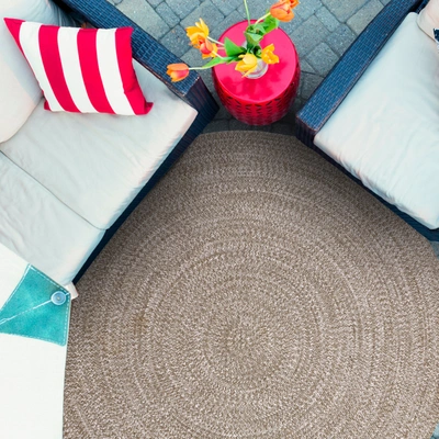 Superior Reversible Vintage Ploypropylene Indoor/outdoor Braided Area Rug