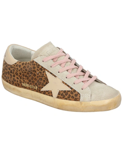 Shop Golden Goose Superstar Leather Sneaker In Brown