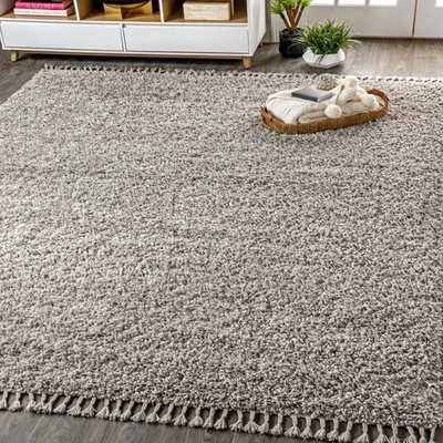 Jonathan Y Mercer Shag Plush Tassel Area Rug