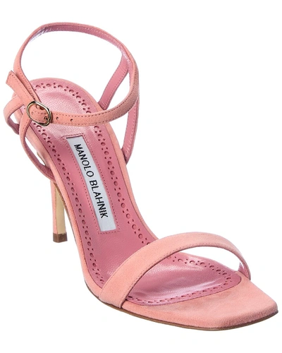 Shop Manolo Blahnik Elvira 60 Suede Sandal In Pink