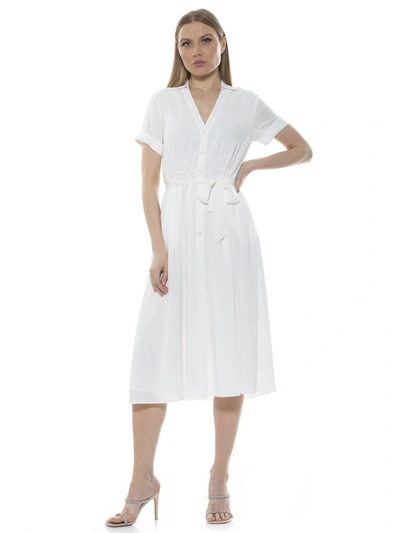 Alexia Admor Liv Collared Shirtdress In Multi