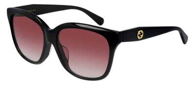 Shop Gucci Gg0800sa 002 Cat Eye Sunglasses In Burgundy