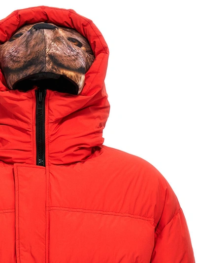 Shop Doublet 'animal Trim' Down Jacket In Red