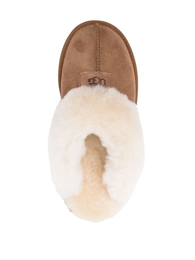 Shop Ugg Coquette Slippers In Beige