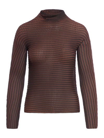 Shop Sunnei Thermo Frise` Longsleeve Top In Brown