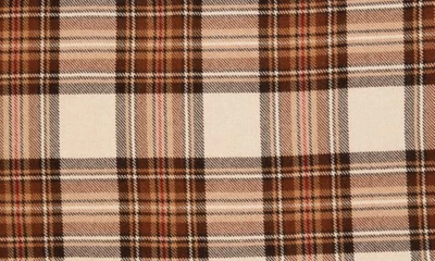 Etro Check Wool Scarf In Beige