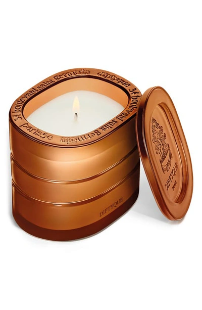 Shop Diptyque Terres Blondes Refillable Candle In Regular