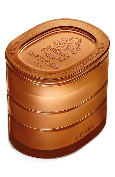 Diptyque Terres Blondes (golden Lands) Refillable Scented Candle 9.5 Oz. In Regular