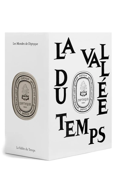 Shop Diptyque La Vallée Du Temps (valley Of Time) Refillable Candle In Regular