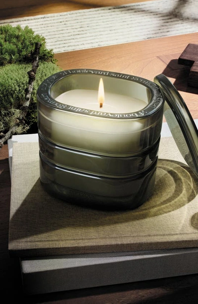 Diptyque Premium Scented Candle - Sai In Regular