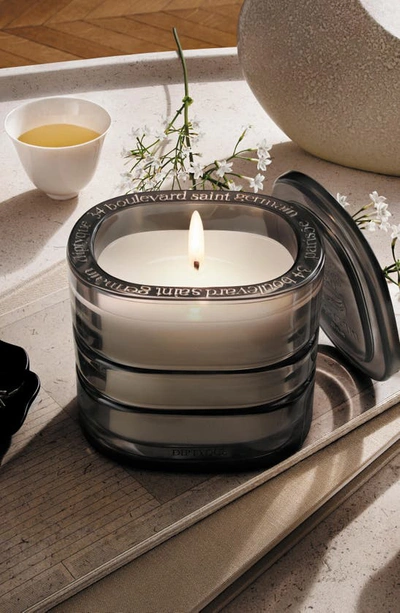 Shop Diptyque La Vallée Du Temps (valley Of Time) Refillable Candle In Regular