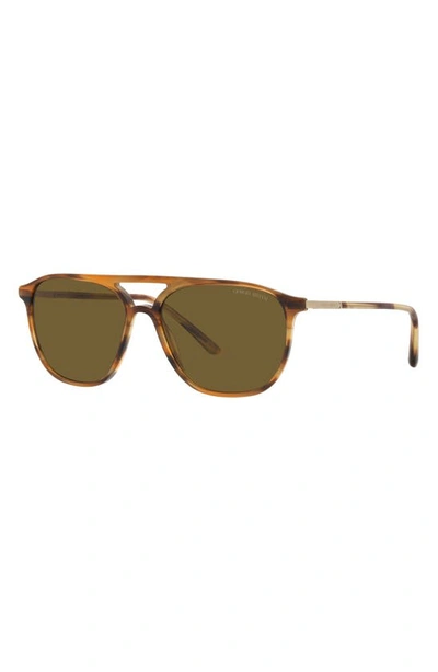 Shop Armani Exchange 56mm Pilot Sunglasses In Striped Brown