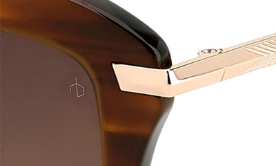 Shop Rag & Bone 53mm Cat Eye Sunglasses In Brown Horn/ Brown Gradient