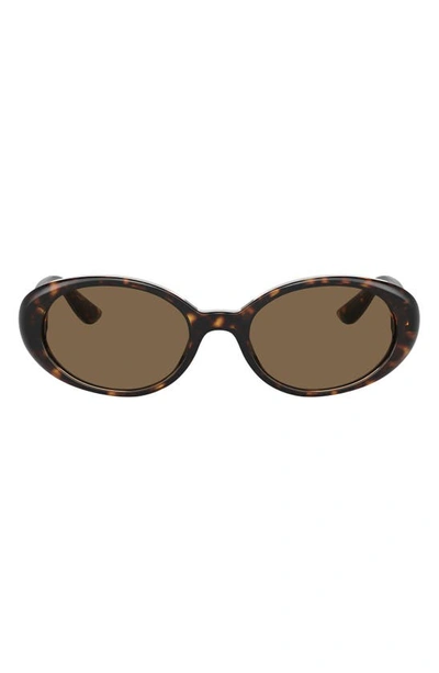 Shop Dolce & Gabbana 52mm Oval Sunglasses In Havana