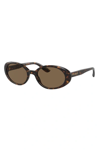 Dolce & Gabbana Tortoiseshell-effect Oval-frame Sunglasses In Havana