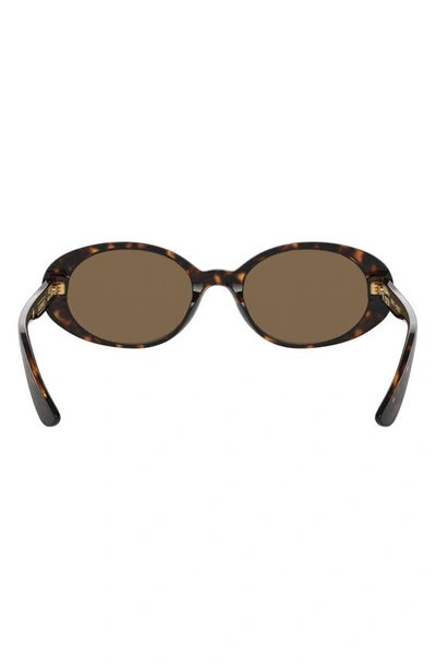 Dolce & Gabbana Tortoiseshell-effect Oval-frame Sunglasses In Havana