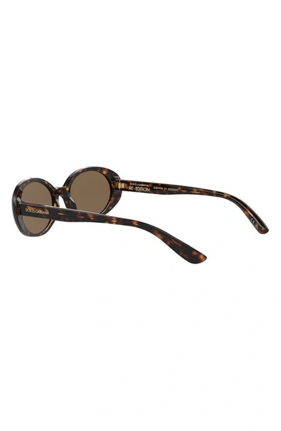 Shop Dolce & Gabbana 52mm Oval Sunglasses In Havana