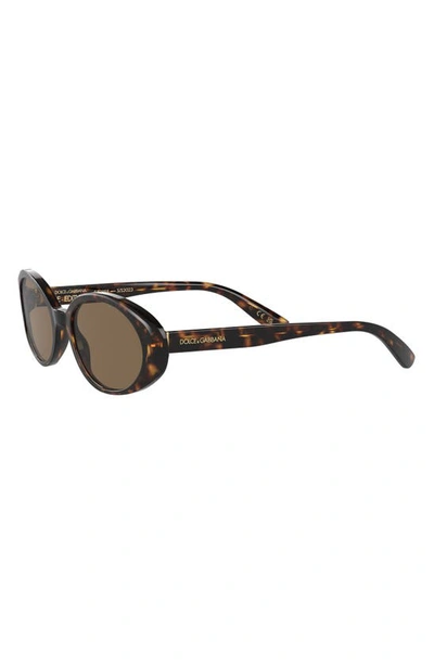 Shop Dolce & Gabbana 52mm Oval Sunglasses In Havana