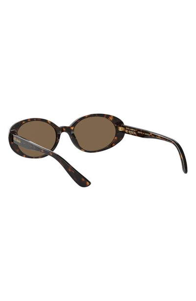 Dolce & Gabbana Tortoiseshell-effect Oval-frame Sunglasses In Havana
