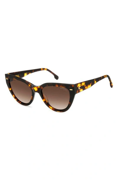 Shop Carrera Eyewear 55mm Gradient Cat Eye Sunglasses In Havana/ Brown Gradient
