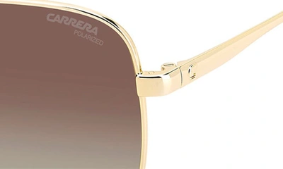 Shop Carrera Eyewear 60mm Gradient Square Sunglasses In Gold Havana/ Brown Polar