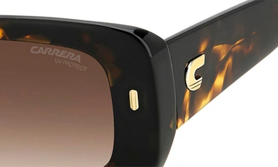 Shop Carrera Eyewear 53mm Gradient Rectangular Sunglasses In Havana/ Brown Gradient