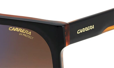 Shop Carrera Eyewear 59mm Flat Top Sunglasses In Black Horn/ Brown Blue Mirror