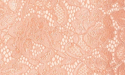 Alexia Admor Maeve Lace Miniskirt In Pink