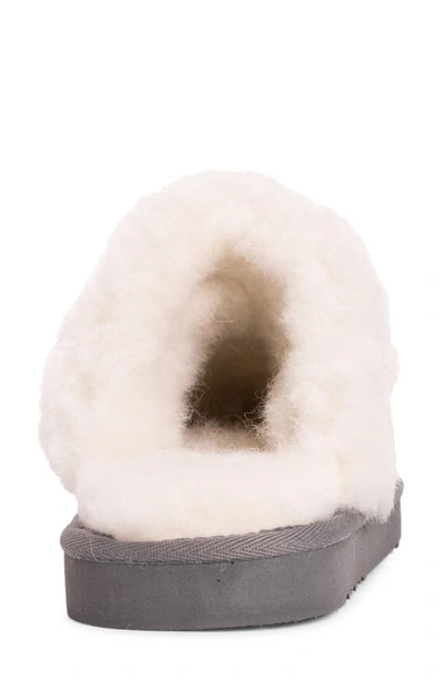 Muk Luks Dawn Suede Scuff Slipper With Genuine Shearling Trim In Frost Grey
