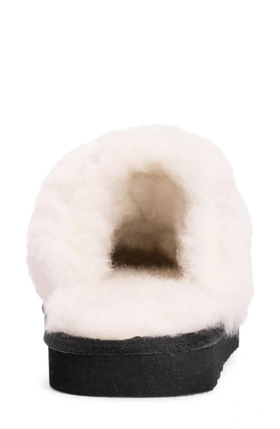 Muk Luks Dawn Suede Scuff Slipper With Genuine Shearling Trim In Ebony