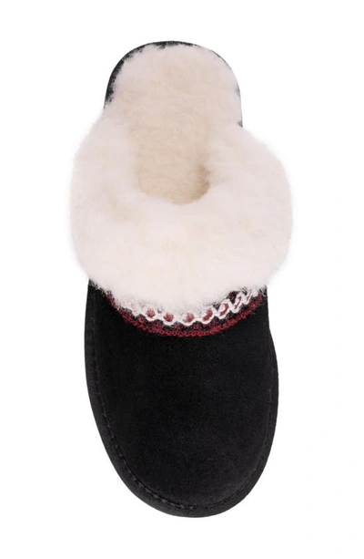 Muk Luks Dawn Suede Scuff Slipper With Genuine Shearling Trim In Ebony