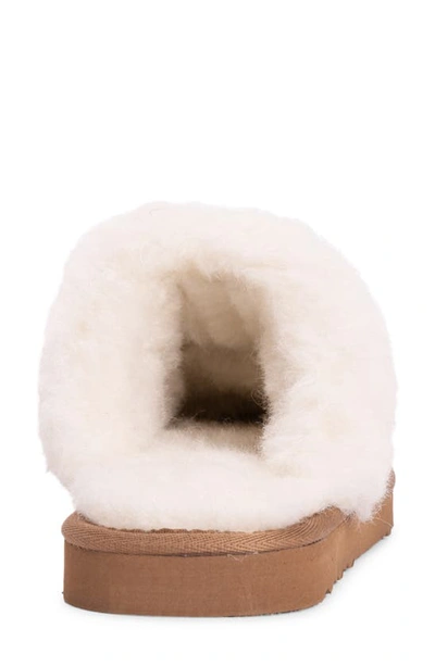 Muk Luks Dawn Suede Scuff Slipper With Genuine Shearling Trim In Caramel