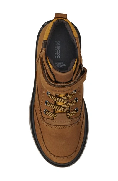 Shop Geox Riddock High Top Sneaker In Dark Yellow/ Brown