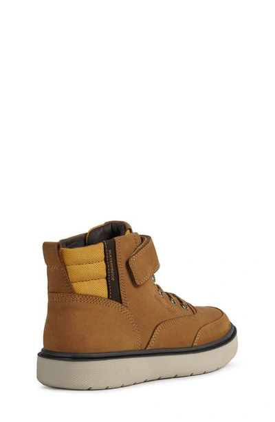 Shop Geox Riddock High Top Sneaker In Dark Yellow/ Brown
