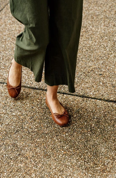 Patricia Green Bow Ballet Flat In Luggage
