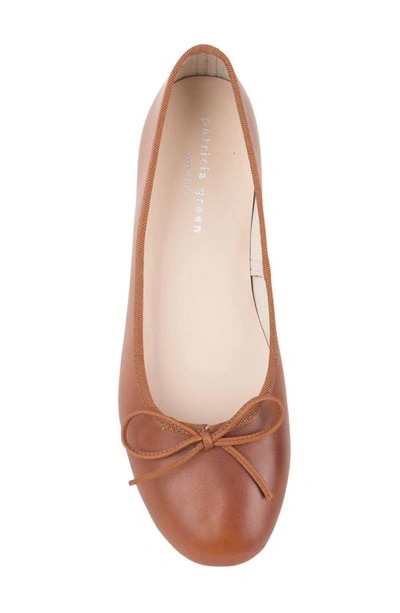 Patricia Green Bow Ballet Flat In Luggage