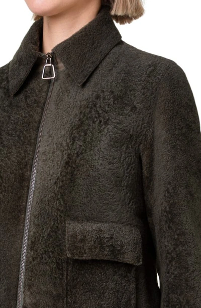 Shop Akris Genuine Shearling & Lambskin Leather Jacket In 058 Oregano