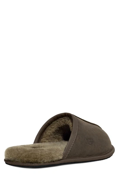 Shop Ugg Genuine Shearling Scuff Slipper In Burnt Olive