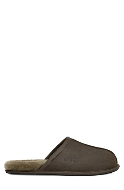 Ugg Scuff Slipper In Burnt Olive