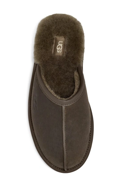 Shop Ugg Genuine Shearling Scuff Slipper In Burnt Olive