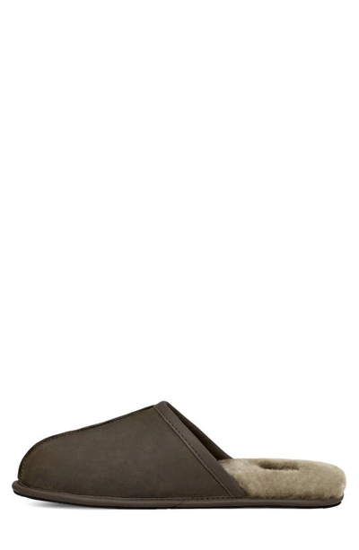 Ugg Scuff Slipper In Burnt Olive